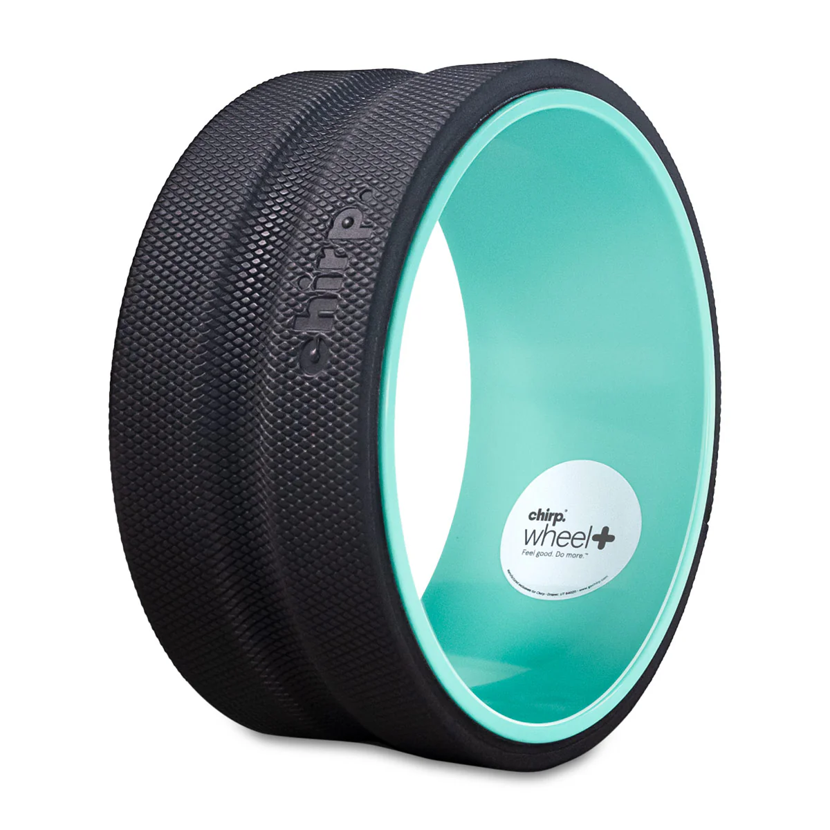 Chirp Wheel + 10" - Image 11